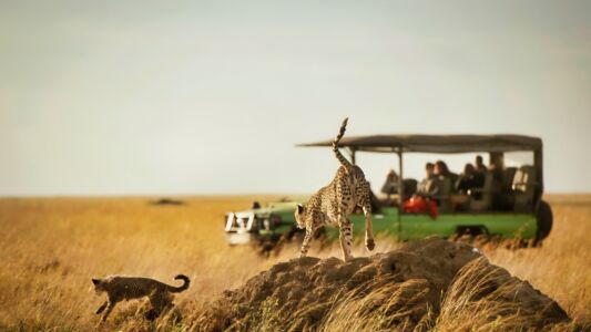 Tanzania Tourism (23)