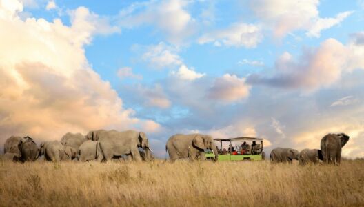 Tanzania Tourism (24)