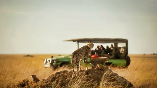 Tanzania Tourism (26)