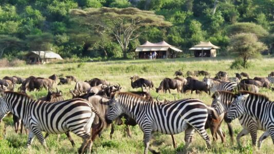 Tanzania Tourism (35)