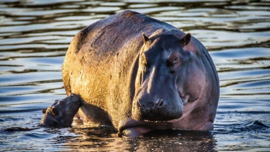 Tanzania Tourism (98)