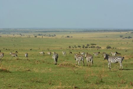 Visit Tanzania (33)