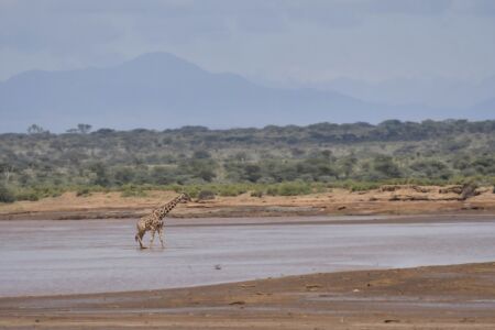 Visit Tanzania (53)