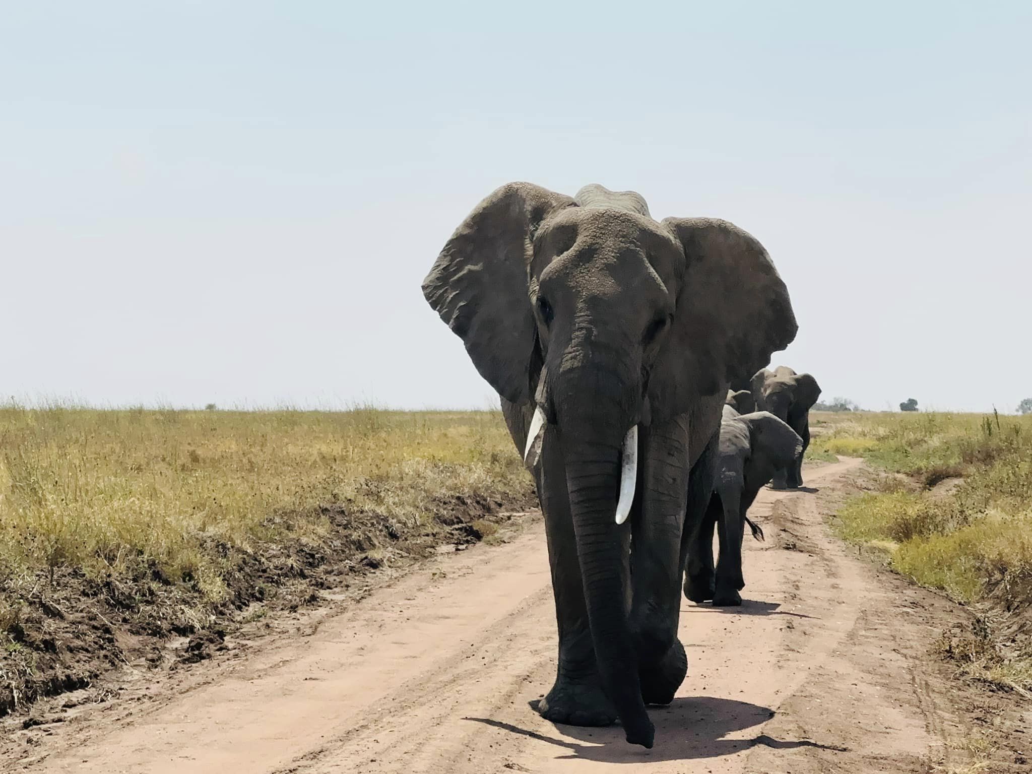 Components of Tourism Components of Tourism
