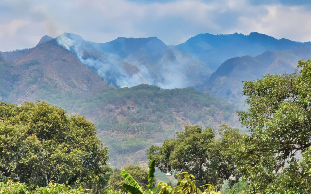 Addressing the Annual Fires in the Livingstone Mountains of Tanzania