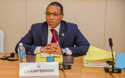 Tanzania’s ICGLR Commitment: Stabilising the DRC & Great Lakes Region