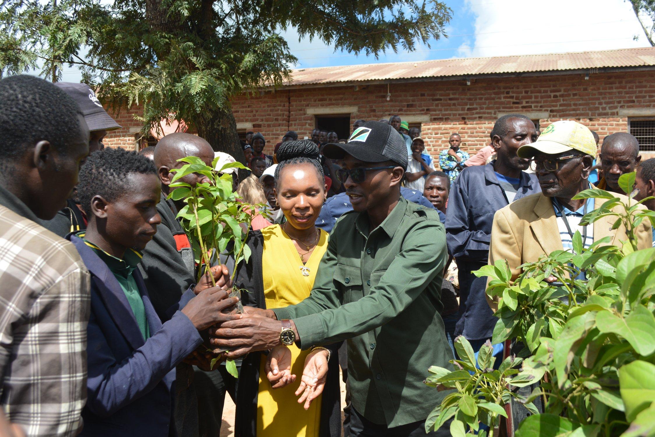 Distribution of apricot seedlings to groups of farmers in Masenge village