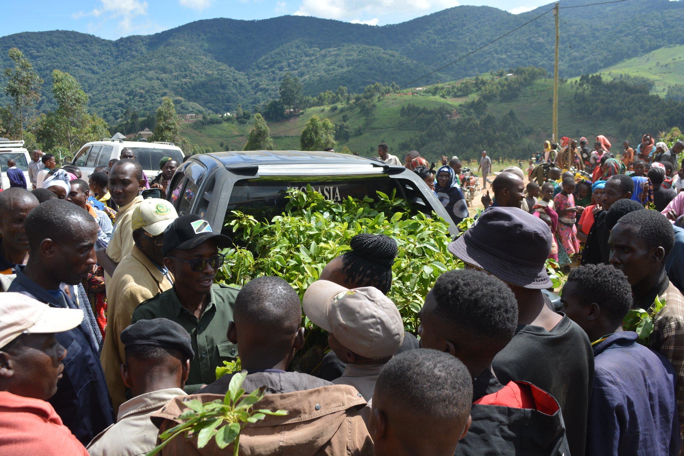 Distribution of apricot seedlings to groups of farmers in Masenge village