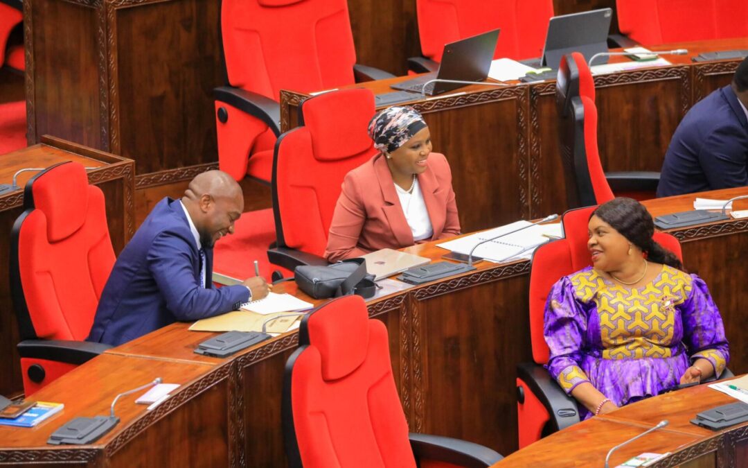 Parliament Meeting in Dodoma