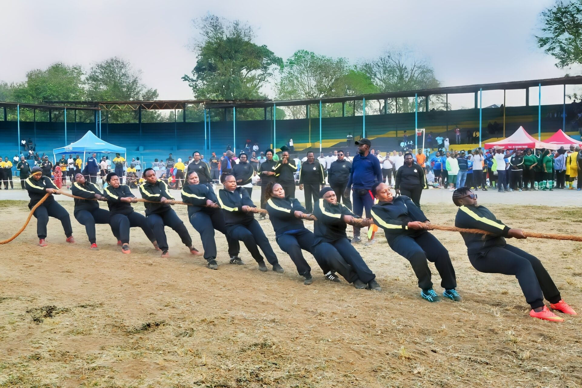 Shimiwi Competition